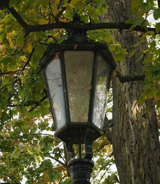lamp-2790005_1920 (1)
