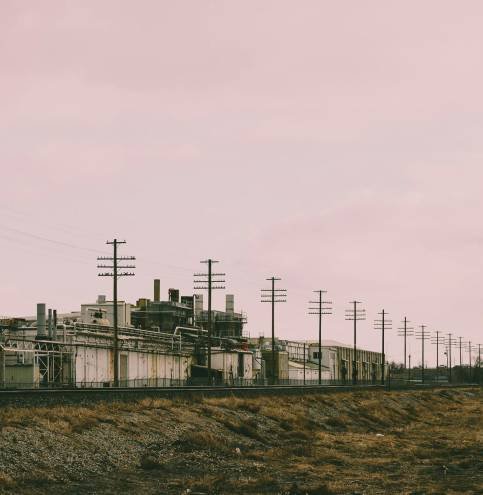 pexels-brett-sayles-1936750 (1)